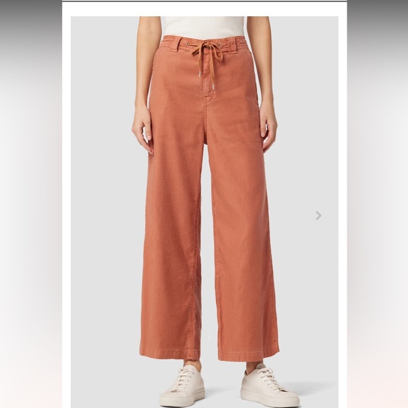 Hudson Jeans Pants - Hudson Size 34 Drawstring Bronze Pants NWT